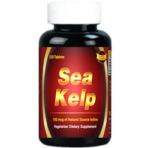 sn-sea-kelp